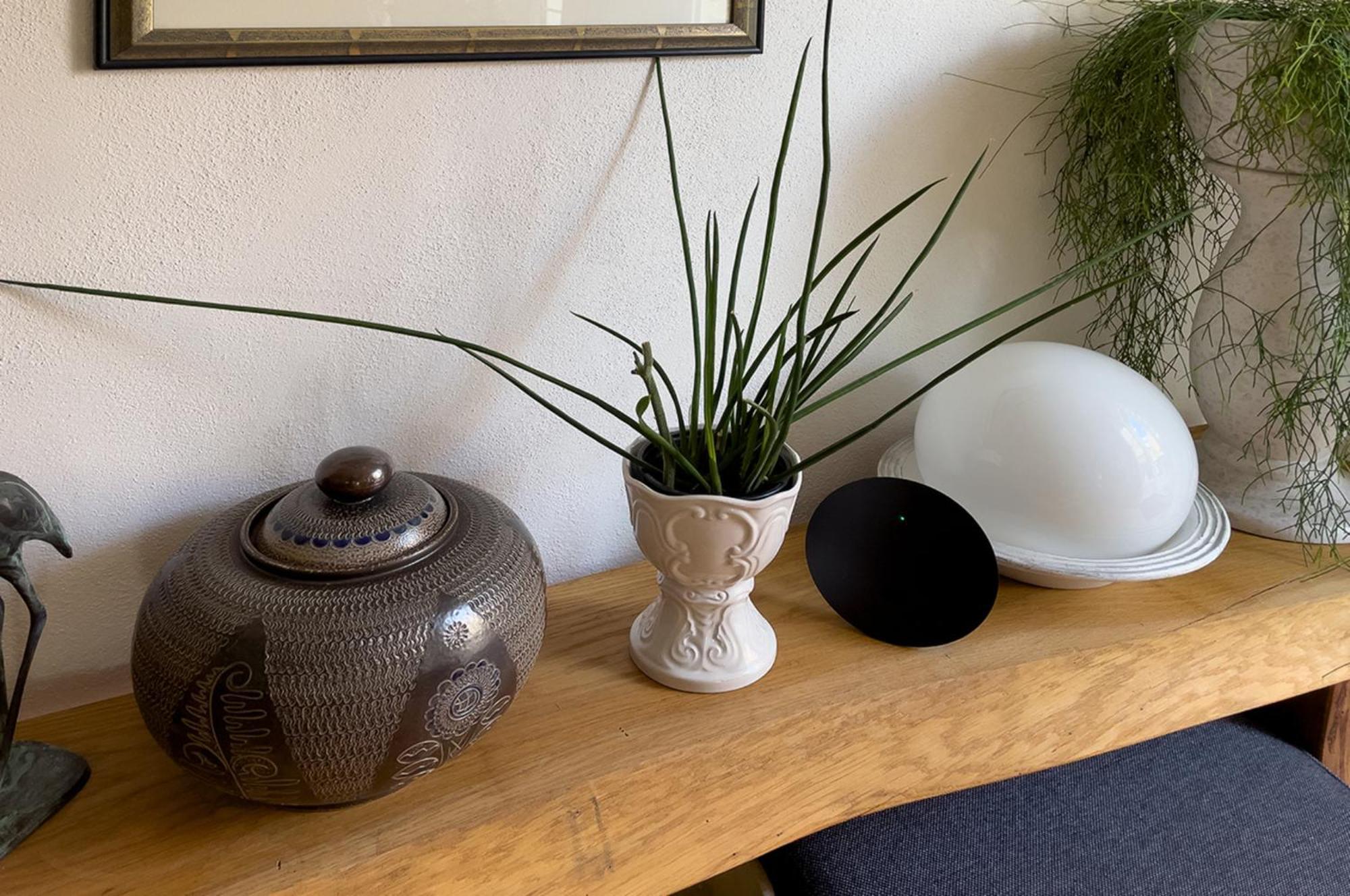 Apartament Lieselhaus Busenberg Zewnętrze zdjęcie